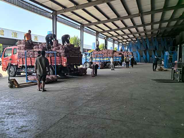 卸貨入庫（國際大蒜貿(mào)易網(wǎng)）